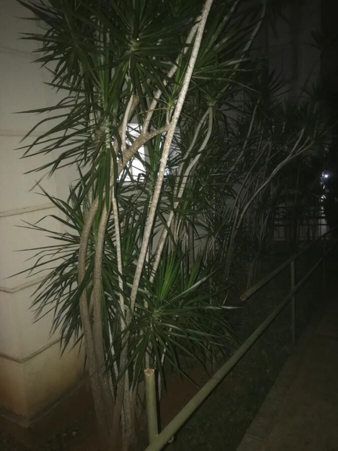 WhatsApp Image 2025-10-17 at 17.34.12 (4)