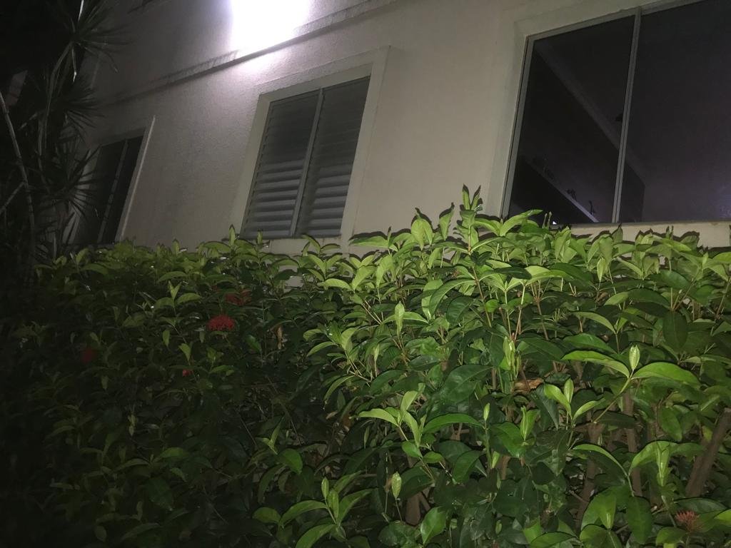 WhatsApp Image 2025-10-17 at 17.34.13 (1)