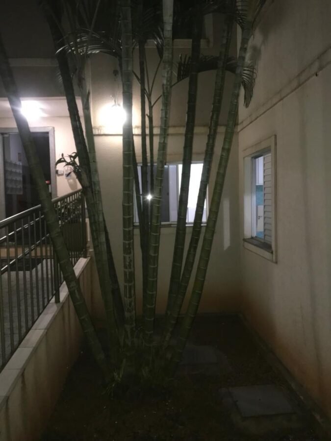 WhatsApp Image 2025-10-17 at 17.34.13